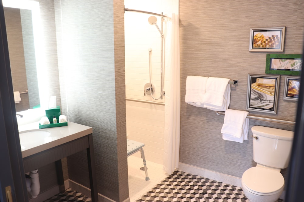 Hotel Indigo St. Louis - Downtown 8/46