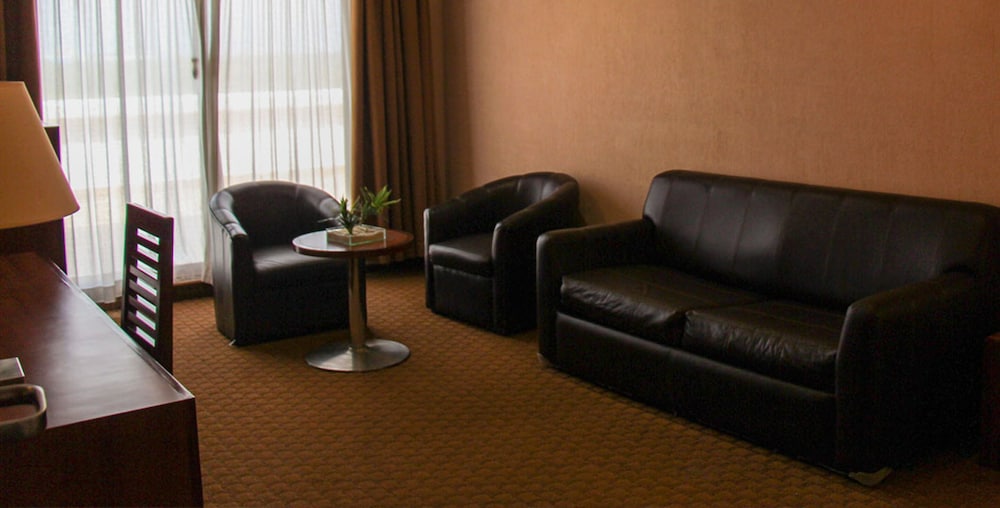 Hotel Soleil Business Class Celaya 26/49