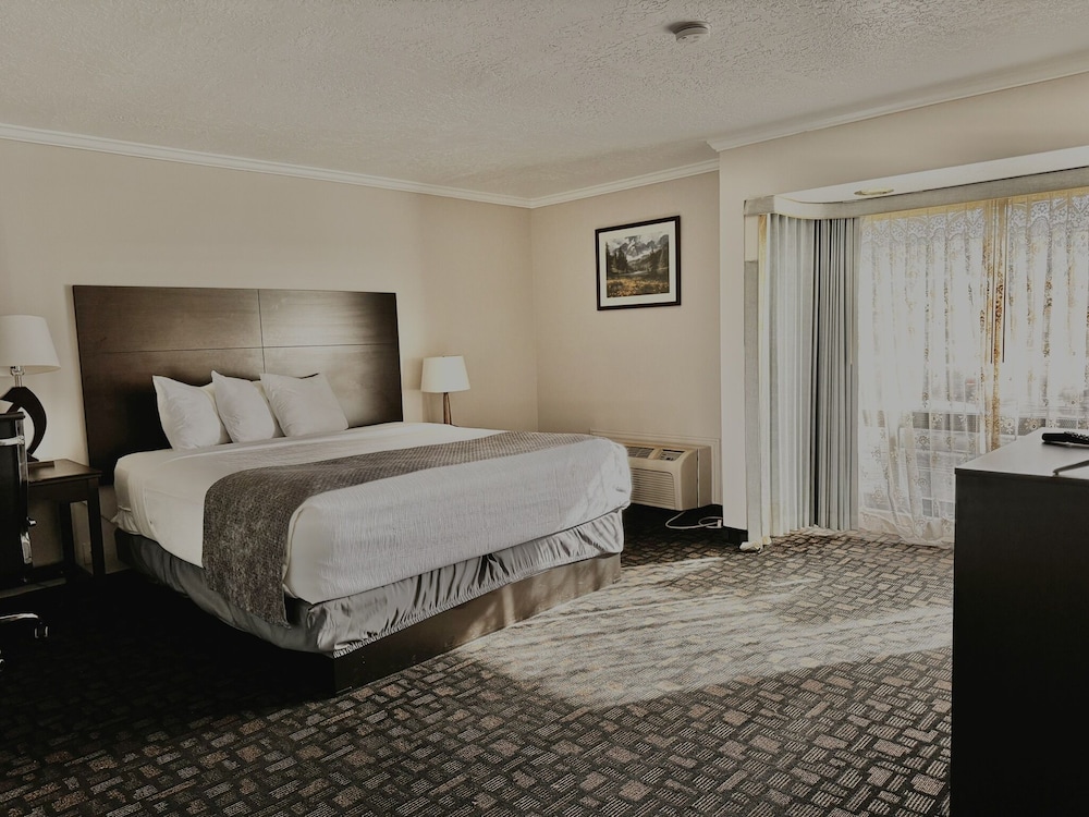 Discovery Inn 21/56