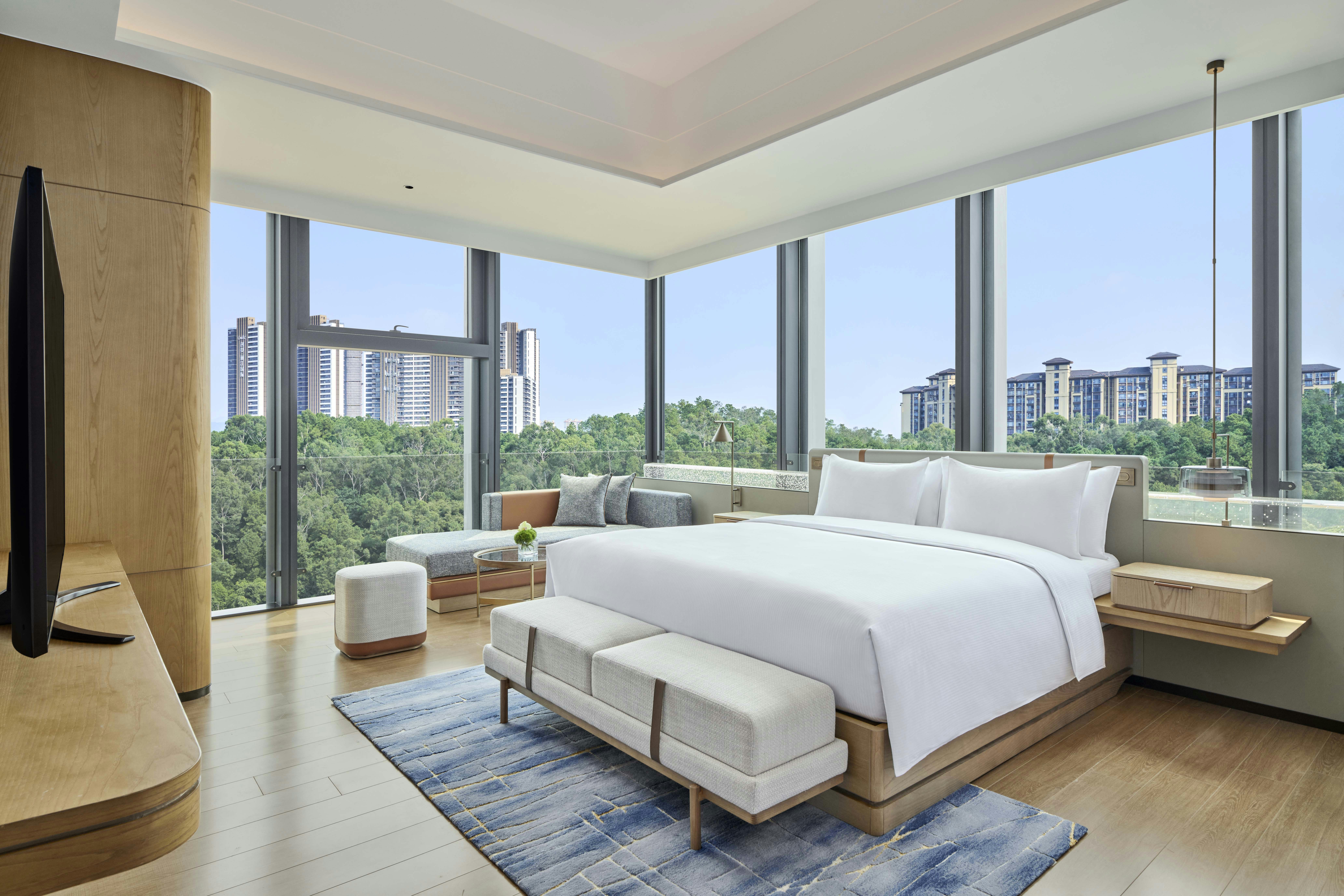 DELUXE, SUITE, KING BED