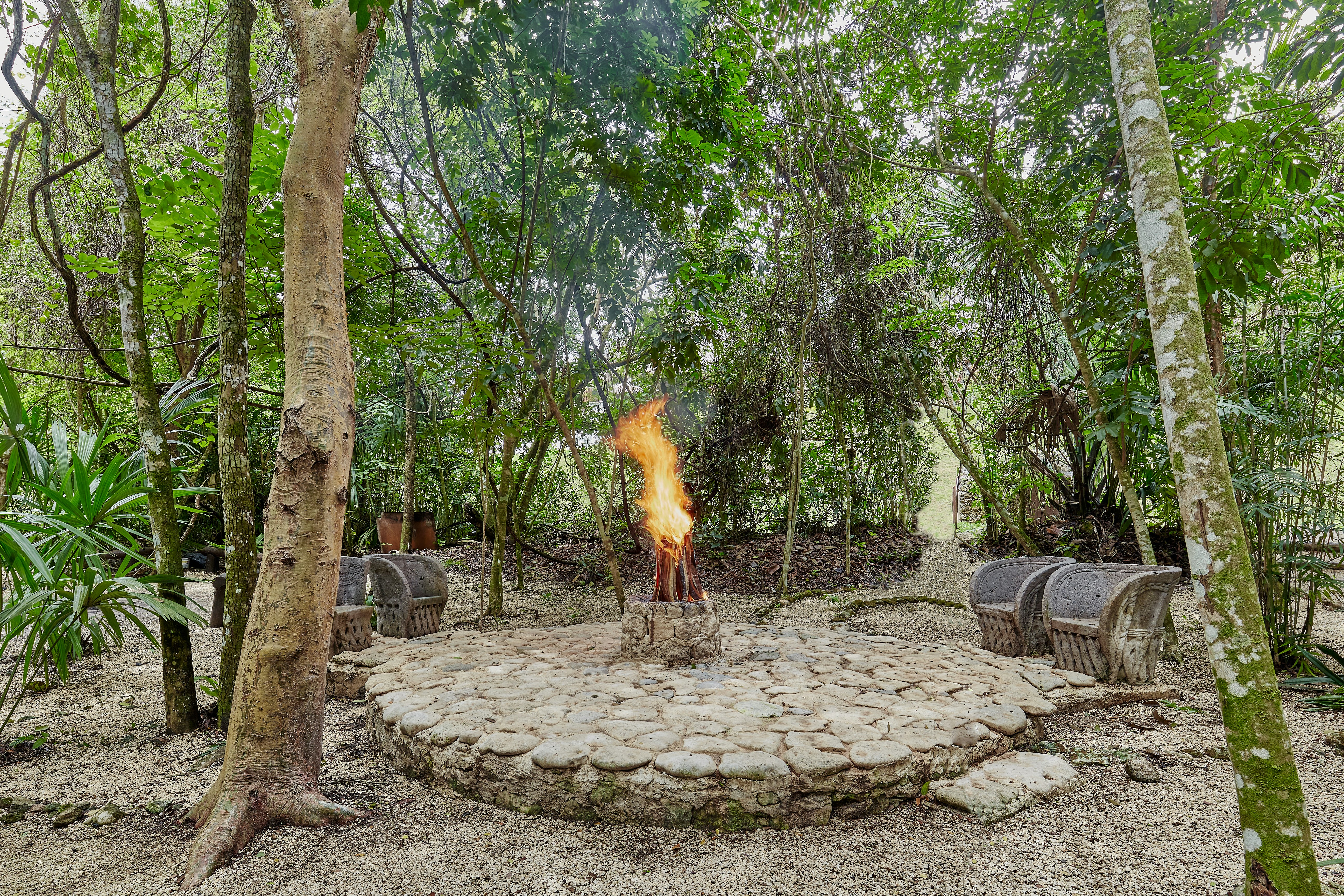 The Explorean Selva Maya Kohunlich 39/50