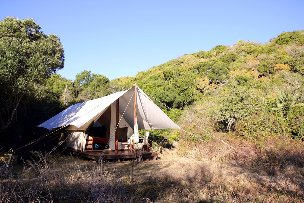 Quatermains Camp 4/49