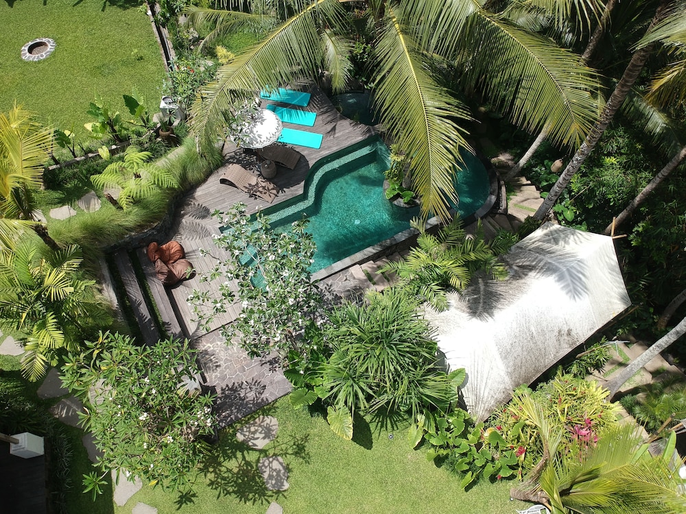 Ubud Tropical 39/44