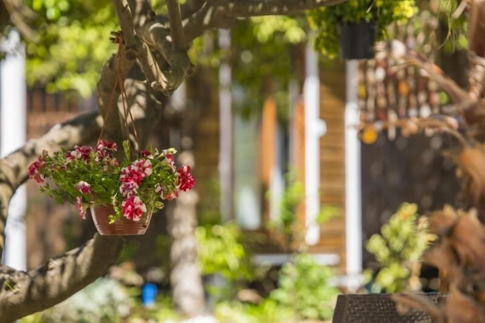 Likya Evleri Olympos - Adults Only 4/27