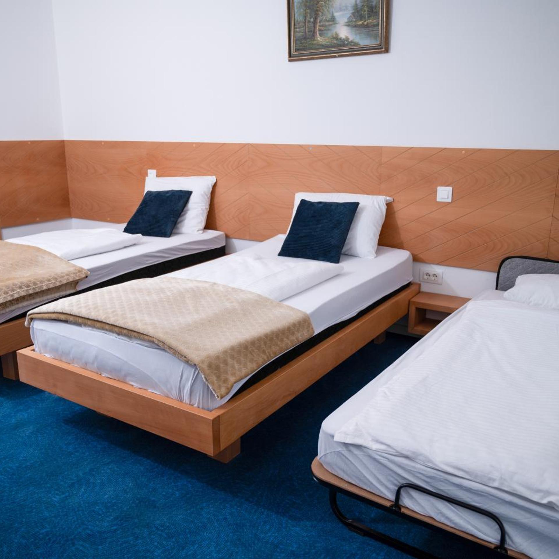 Borici Hotel-sjenica 12/54