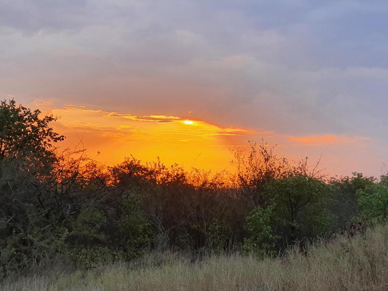 Masorini Bush Lodge 34/50