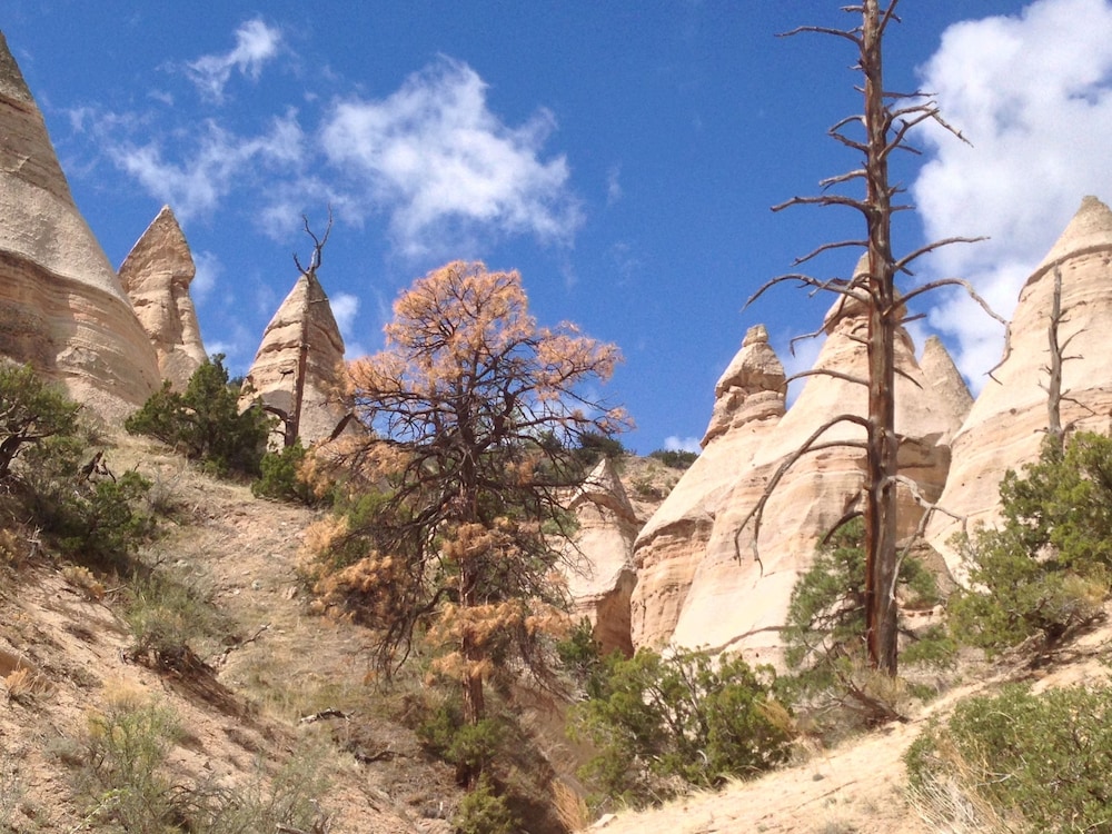 Pueblo Bonito Bed And Breakfast Inn 57/70