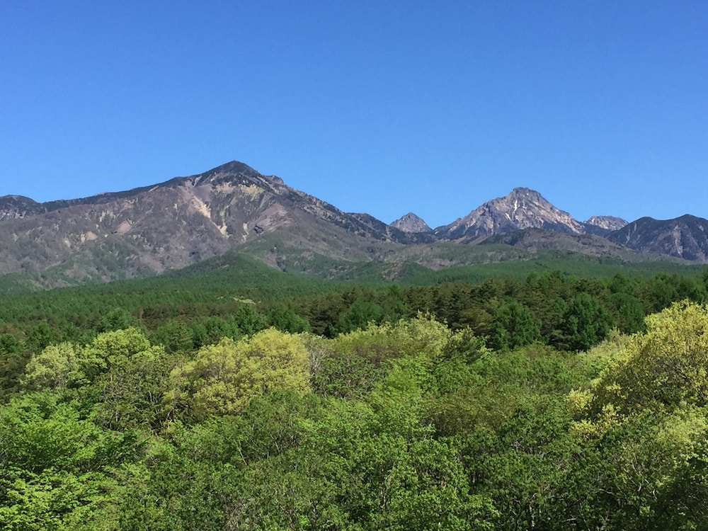 Grand Mercure Yatsugatake Resort & Spa 46/50