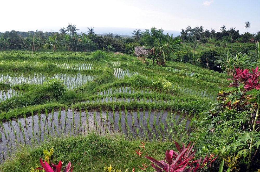 Puri Mangga Sea View Resort & Spa 57/66