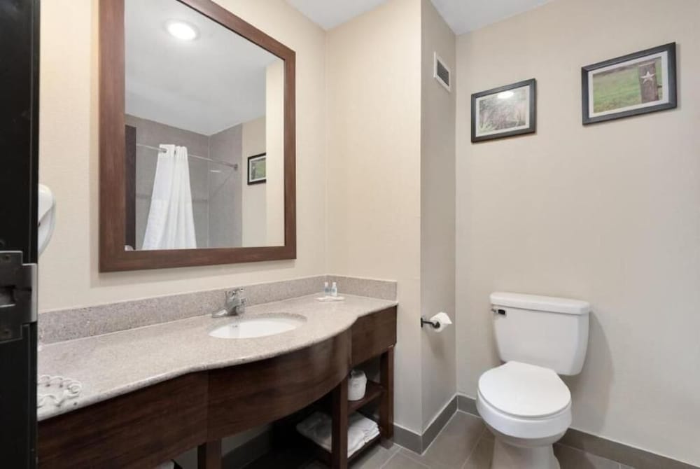 جناح بسريرين كوين مع أريكة لذوي الإعاقة، Comfort Suites Abilene TX 2/2