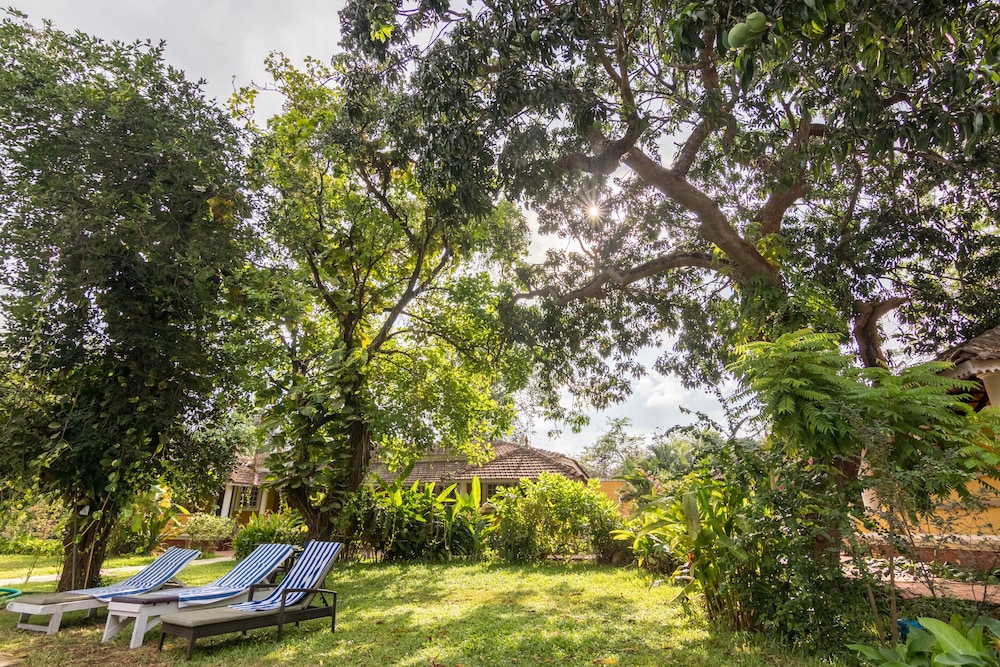 Granpas Inn Bougainvillea 27/50