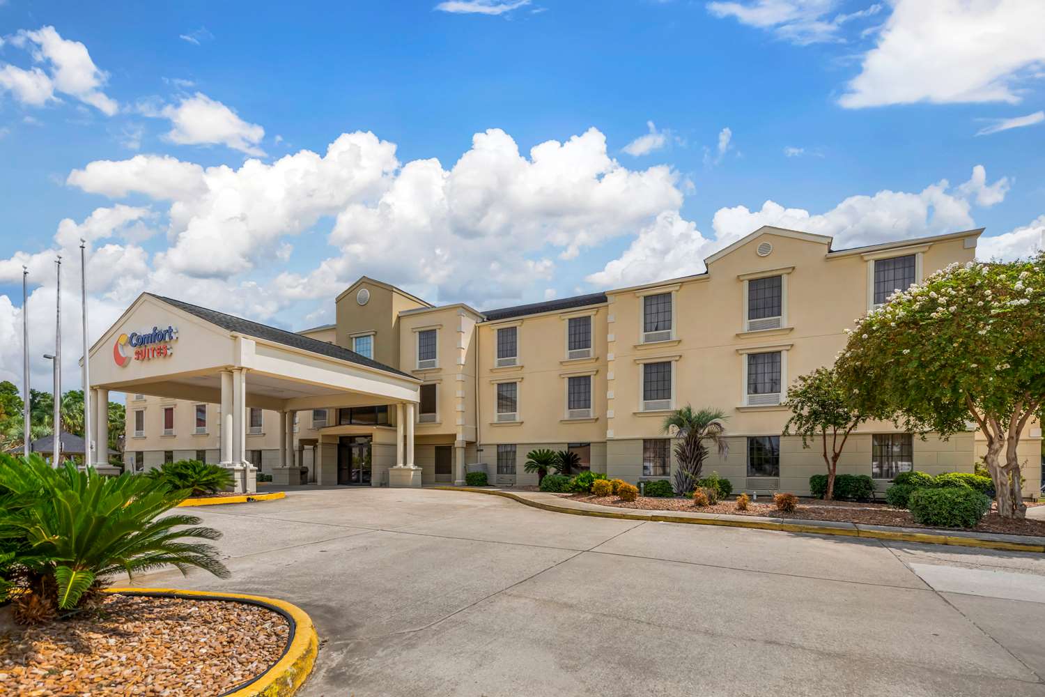 Comfort Suites Port Allen - Baton Rouge 8/36