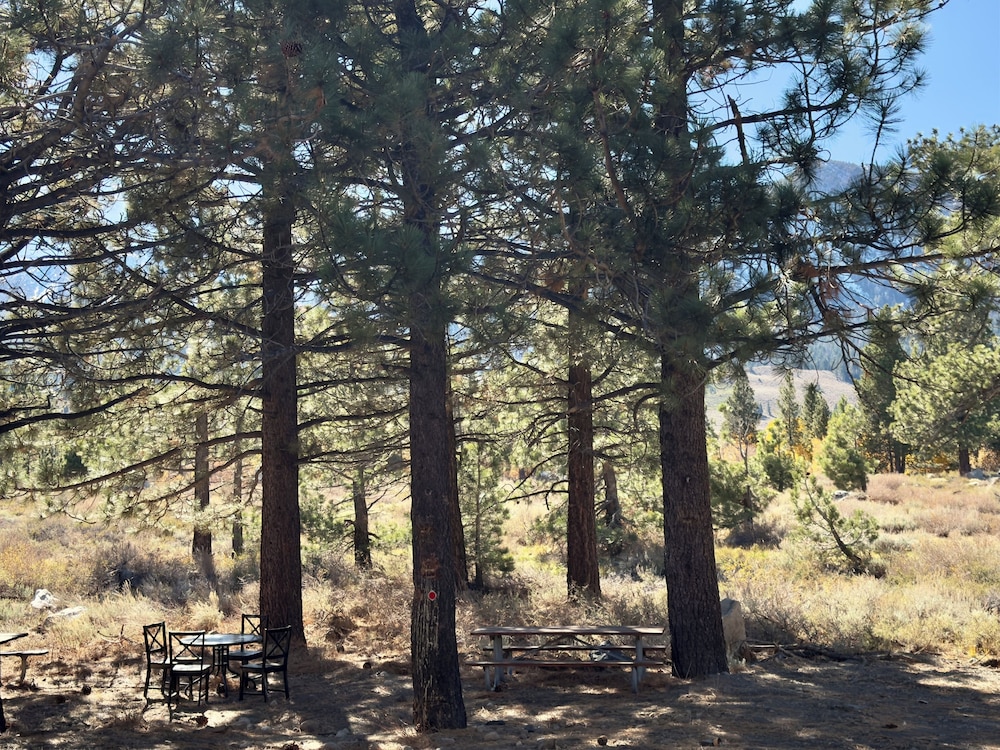 Mammoth Creek Inn 53/59