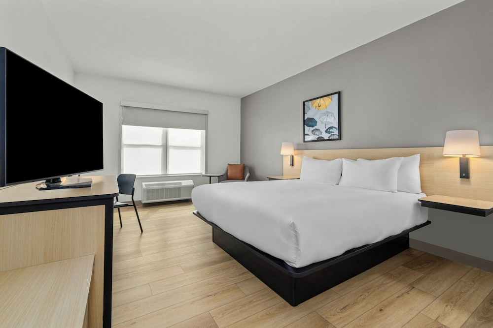 Room, King Bed