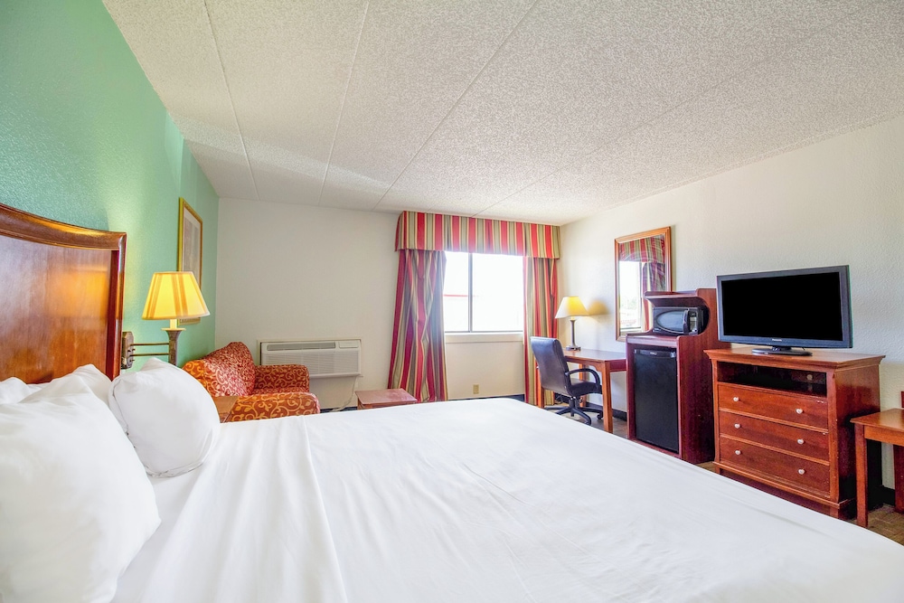 Junior Suite, Kitchenette