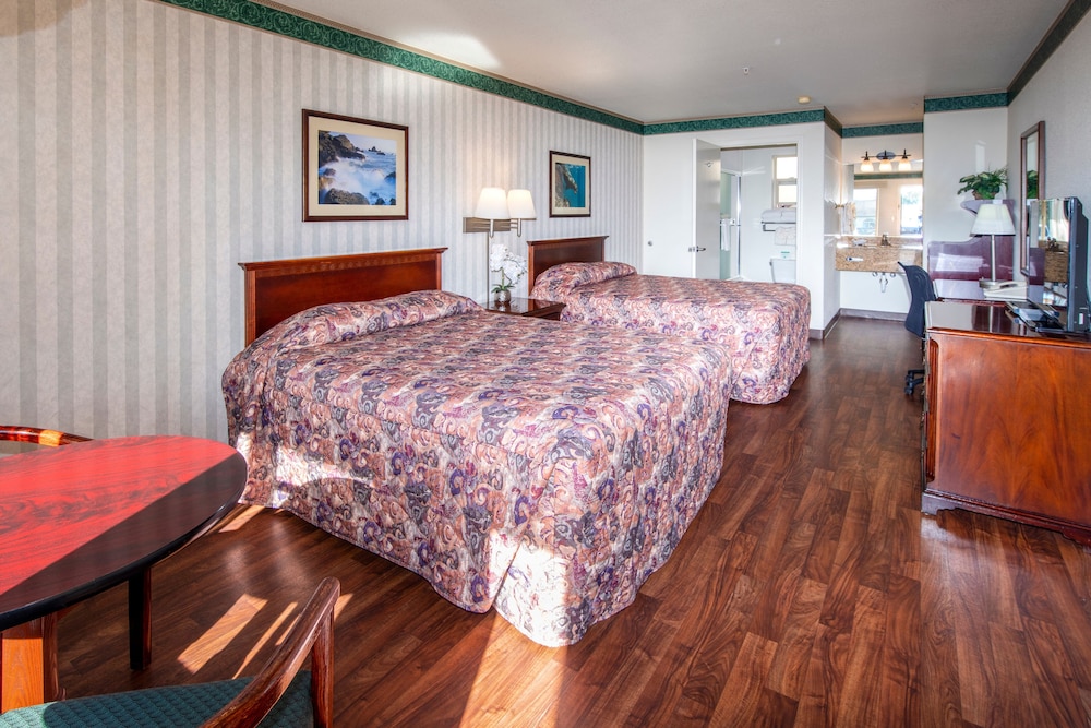 Emerald Dolphin Inn 18/62