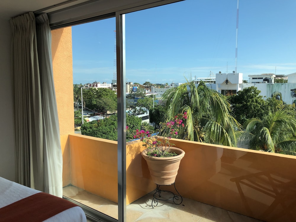 Hotel del Parque 15/26