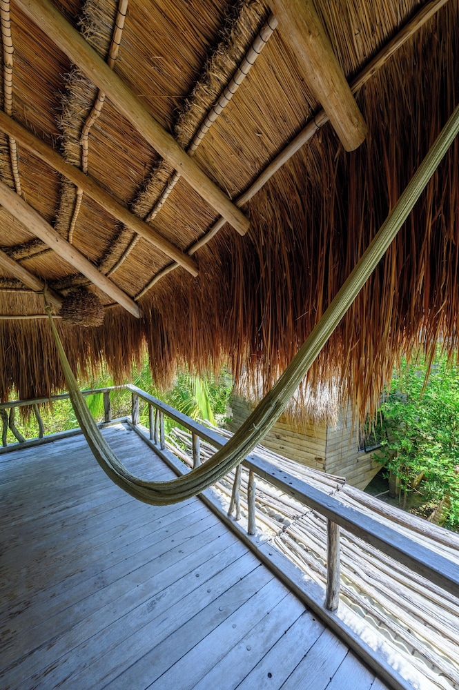 Vida Silvestre Tulum 27/50