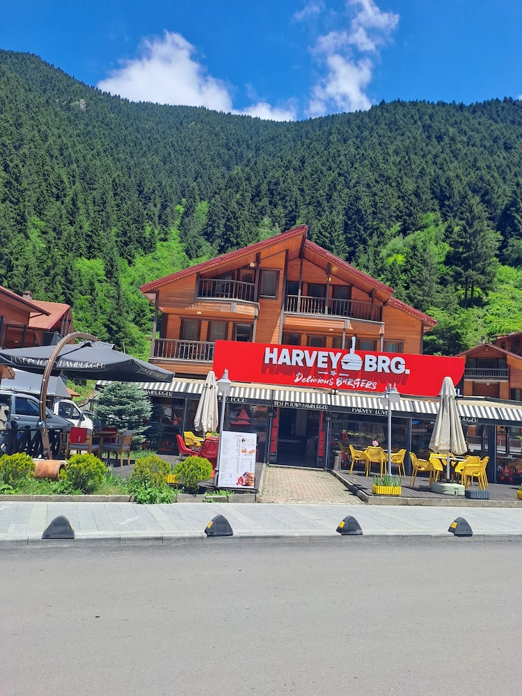Hayat Rose Hotel 5/66