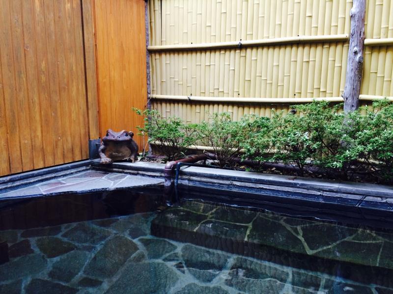 ENOKIYA RYOKAN 30/50