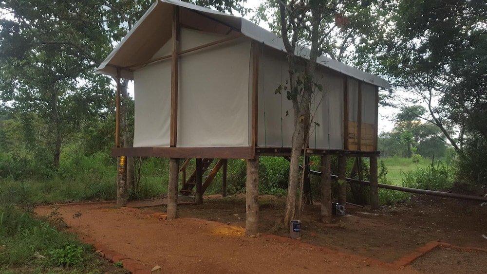 Asharo Sigiriya Villa photo5