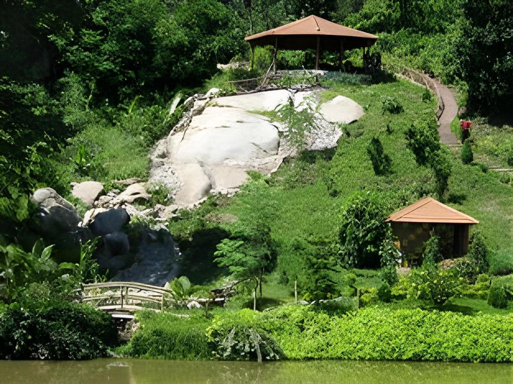 Brahmaputra Jungle Resort 36/42