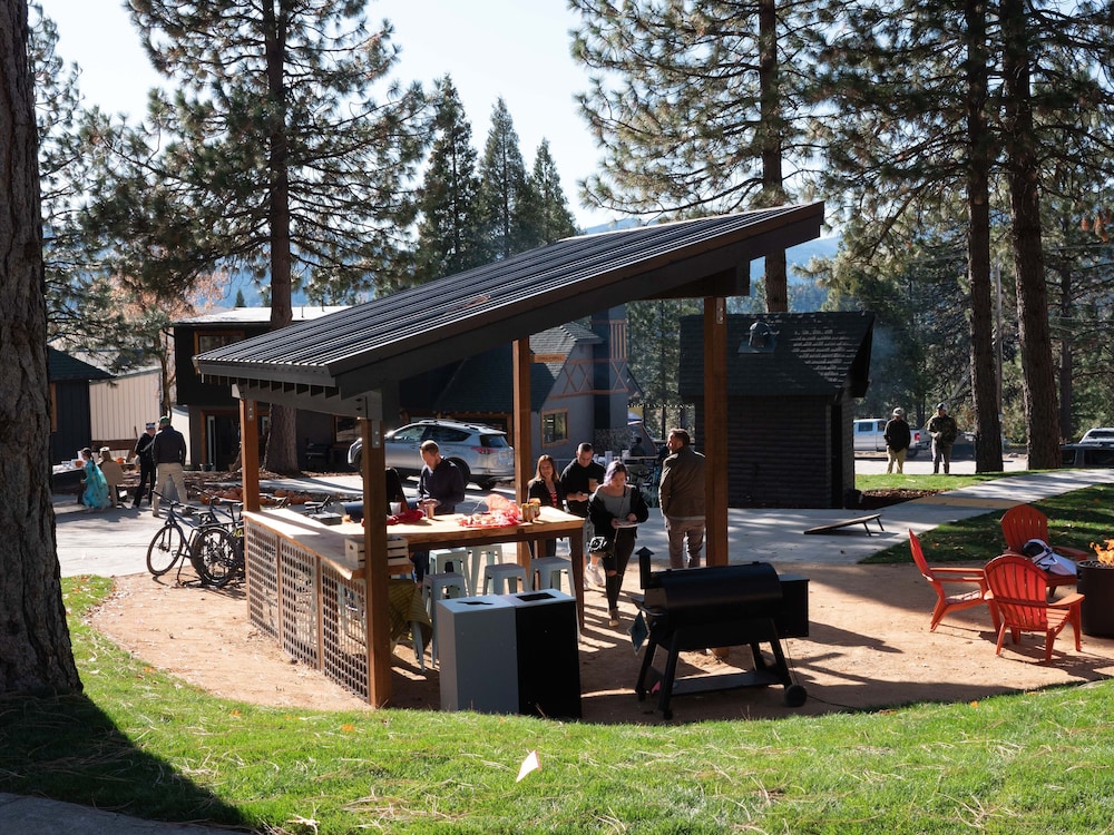 LOGE Mt. Shasta 33/43