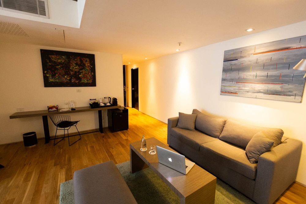 Anselmo Buenos Aires Curio Collection By Hilton 34/47