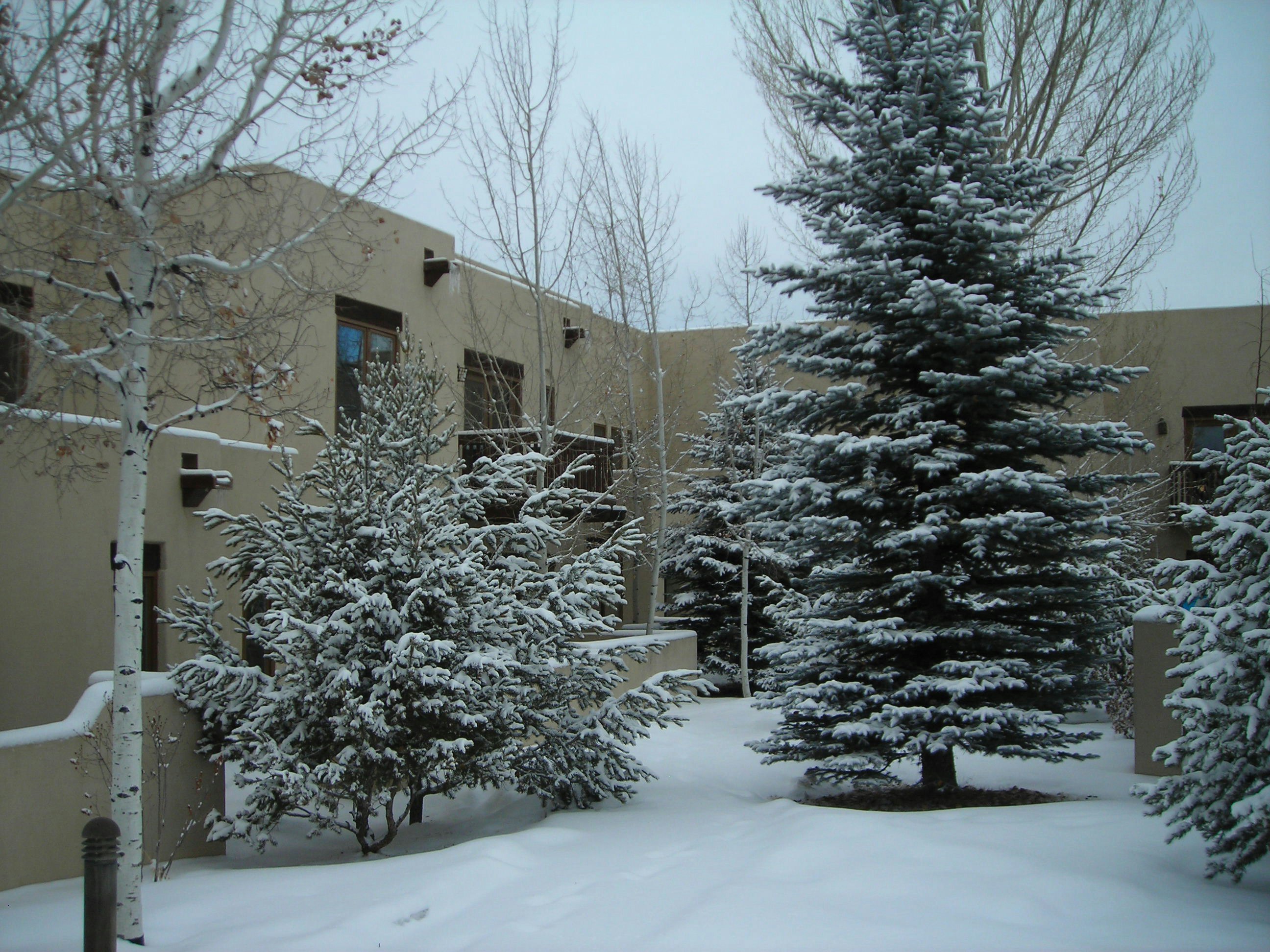 Worldmark Taos 30/39