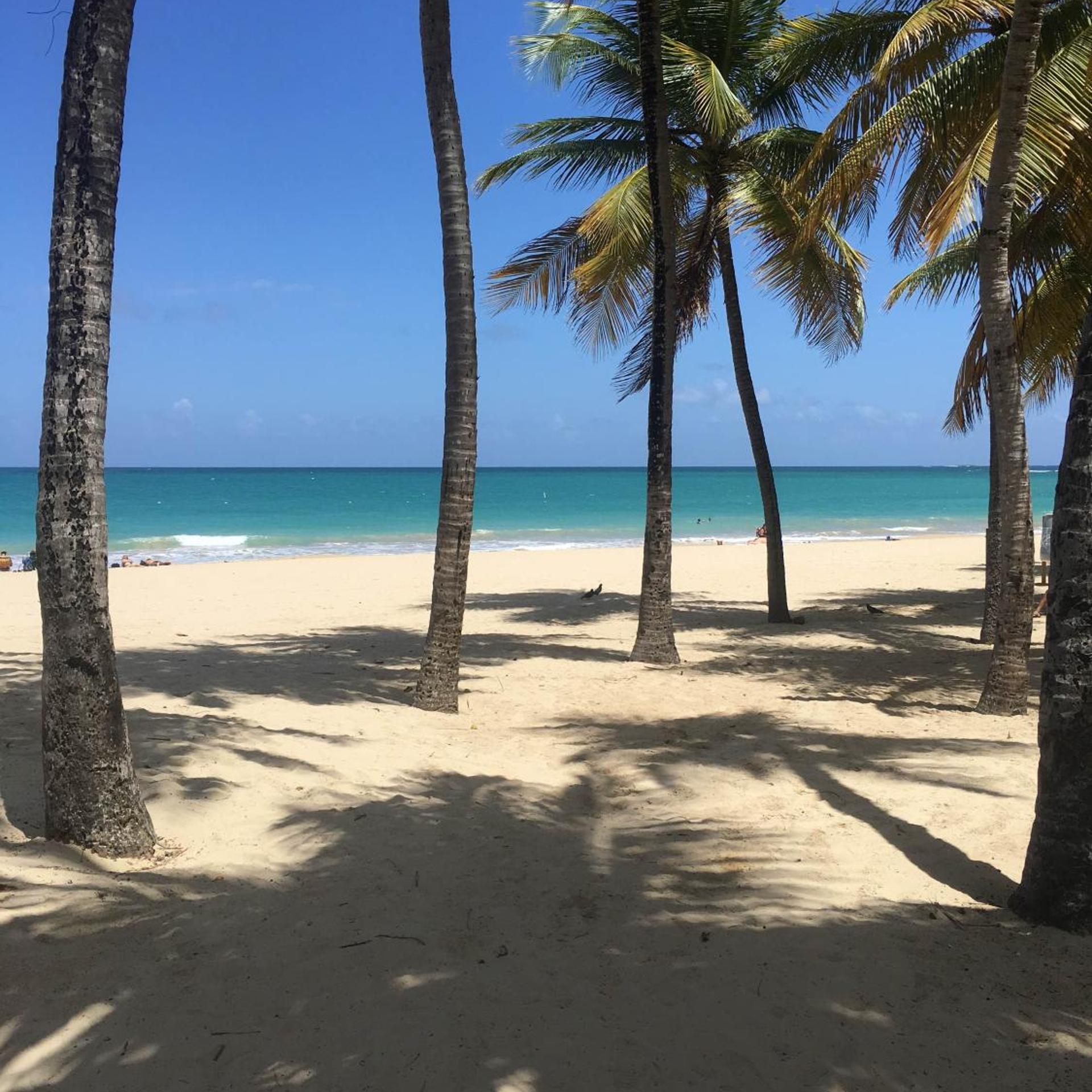 BORINQUEN BEACH INN 33/39