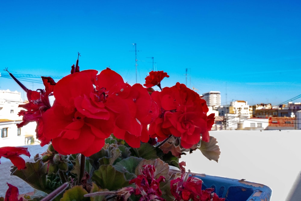 B&B Hi Valencia Canovas 54/60
