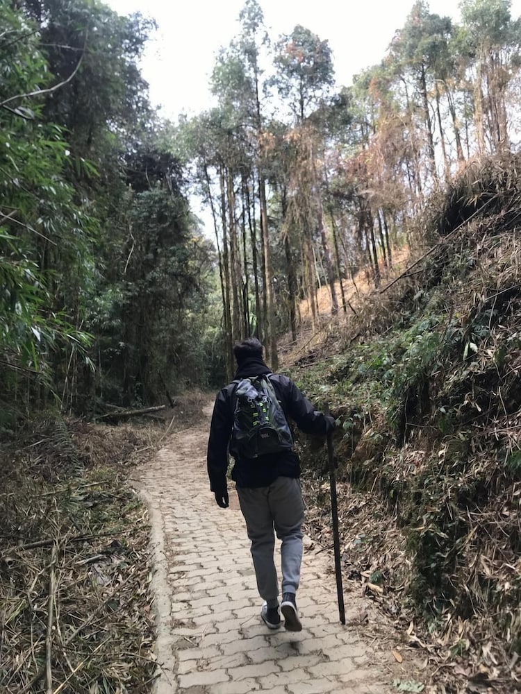 Taj Guras Kutir Gangtok 44/50