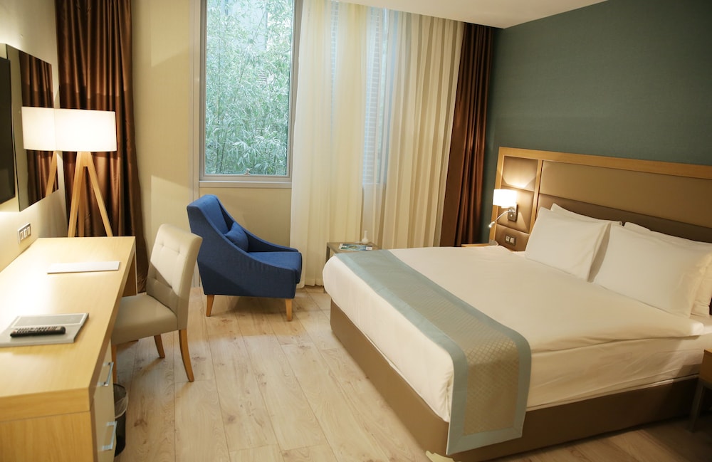 THE ANKARA HOTEL 35/65