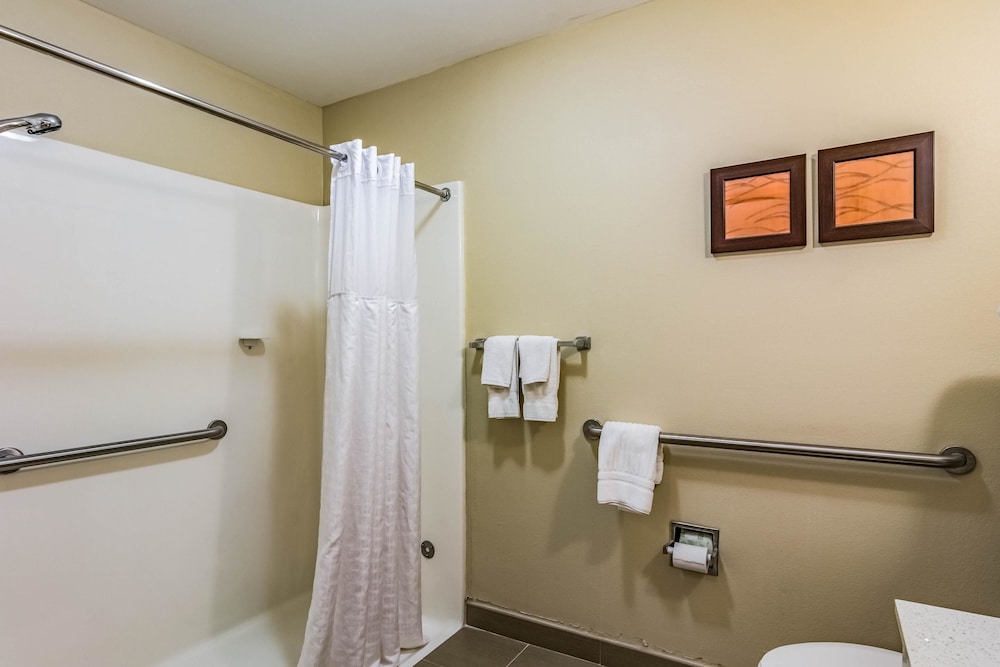 Comfort Inn & Suites Chattanooga West - Lookout Mountain 39/39