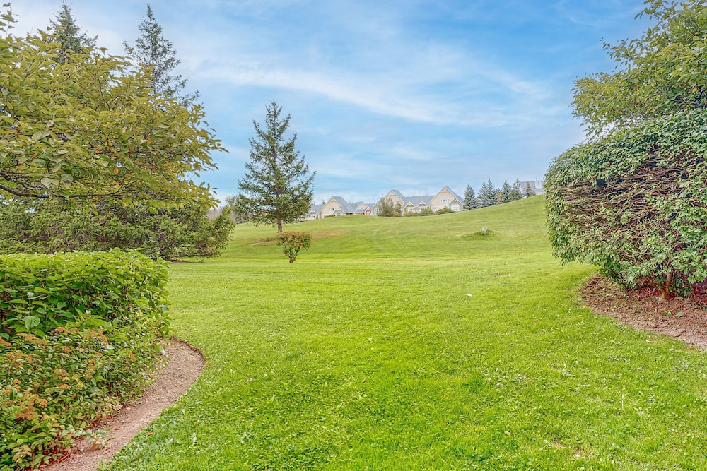 The Lodges At Blue Mountain Wintergreen Condos 43/48