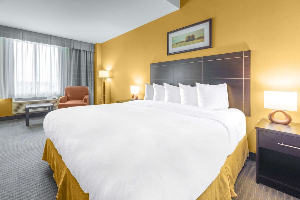 Upgrade, King Bed