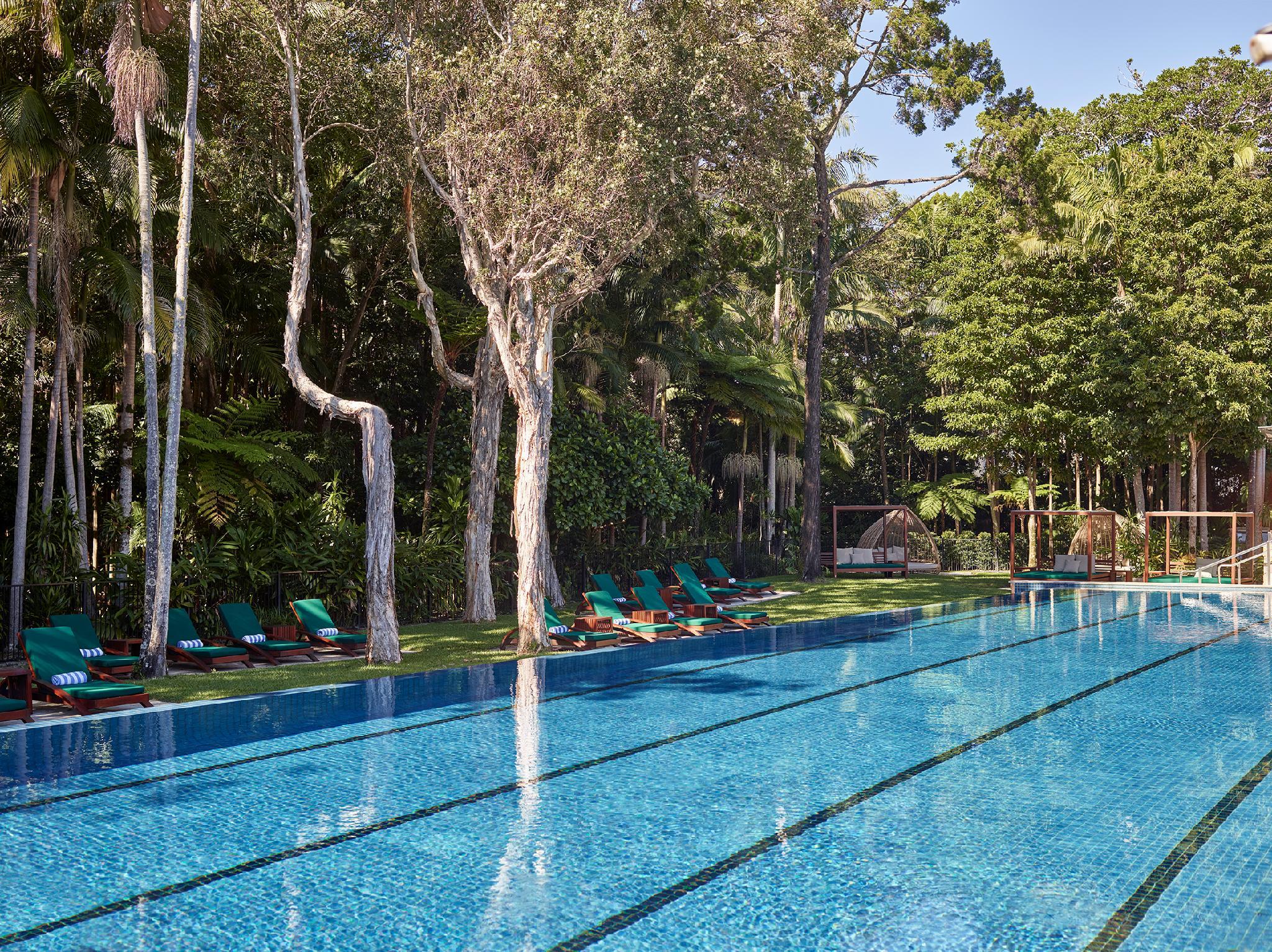 RAINFOREST, SUITE