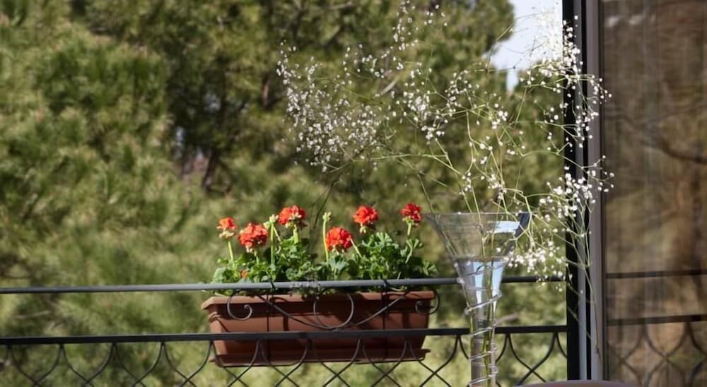 Hotel Giardino Inglese 39/44