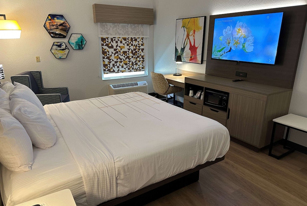 Room, King Bed