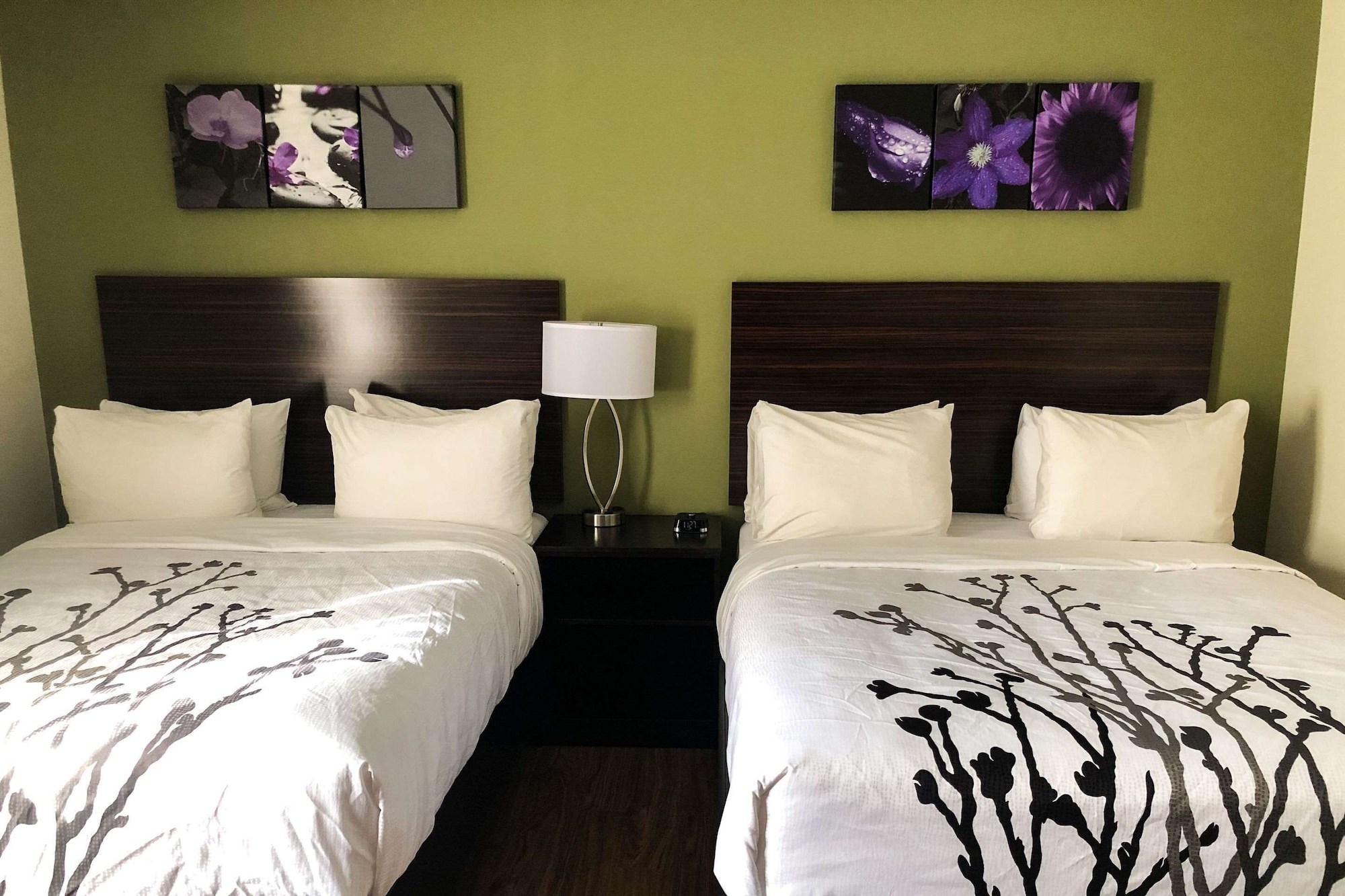 STANDARD, 2 QUEEN BEDS