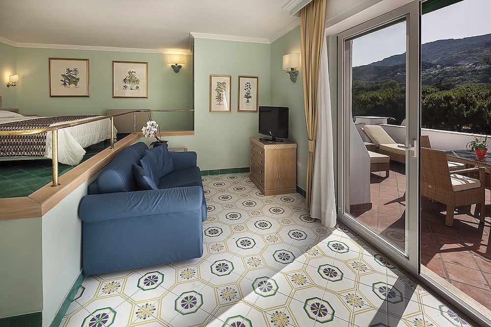 Hotel Continental Ischia 29/50