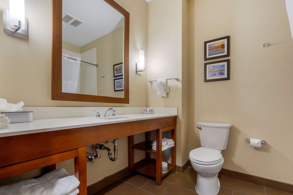 Comfort Suites La Vista - Omaha 18/44