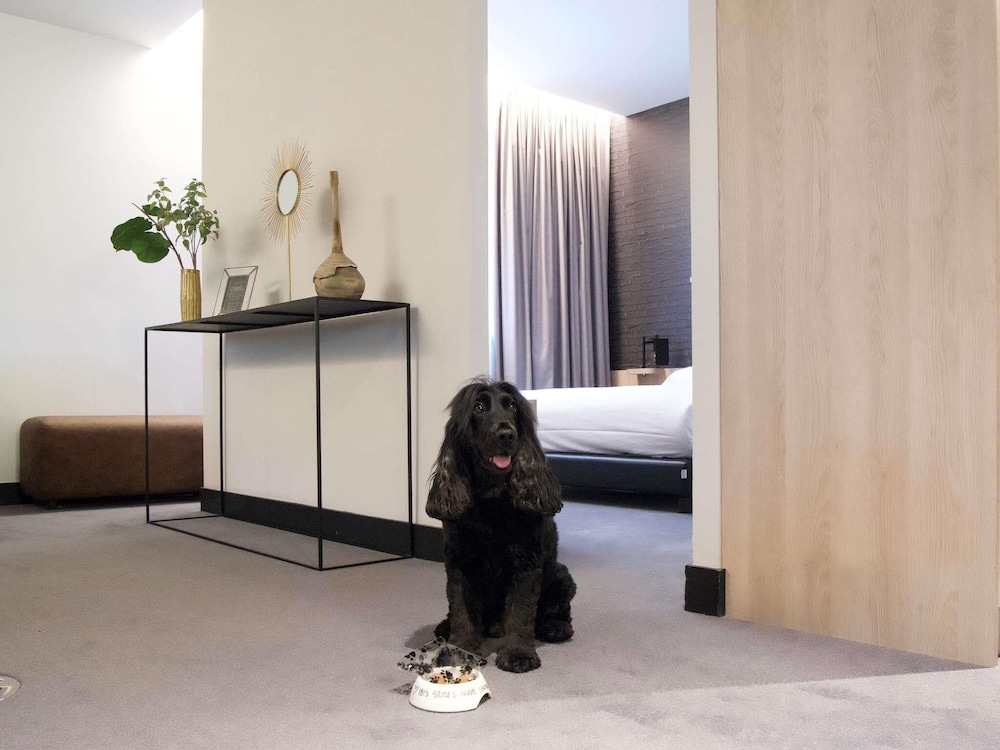 ibis Styles Arras Centre 10/56