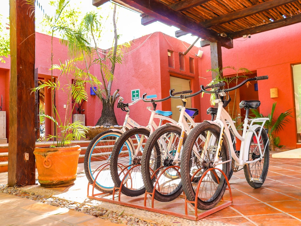 Casa de los Sueños 34/65