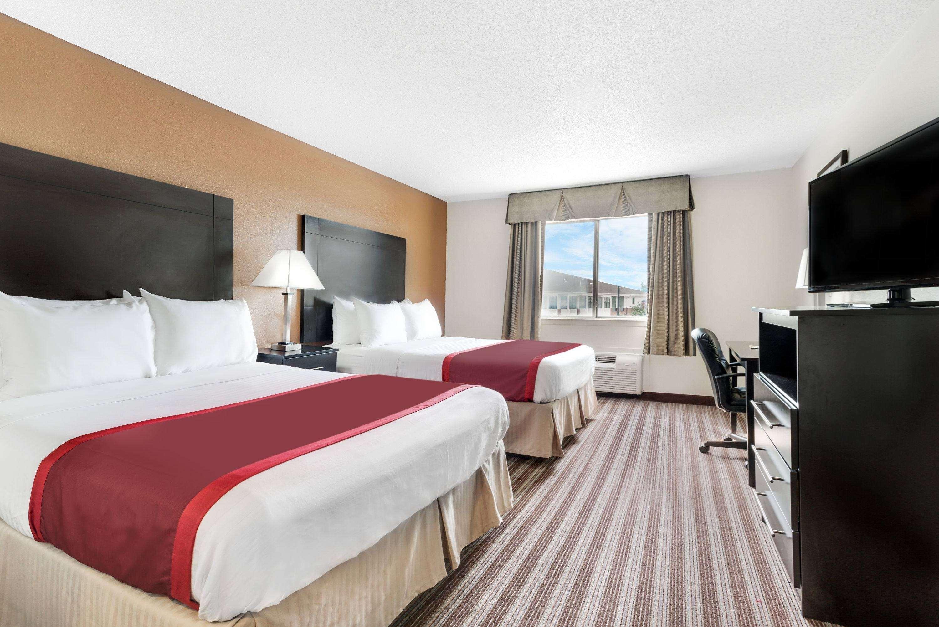 Suite, 2 Queen Beds