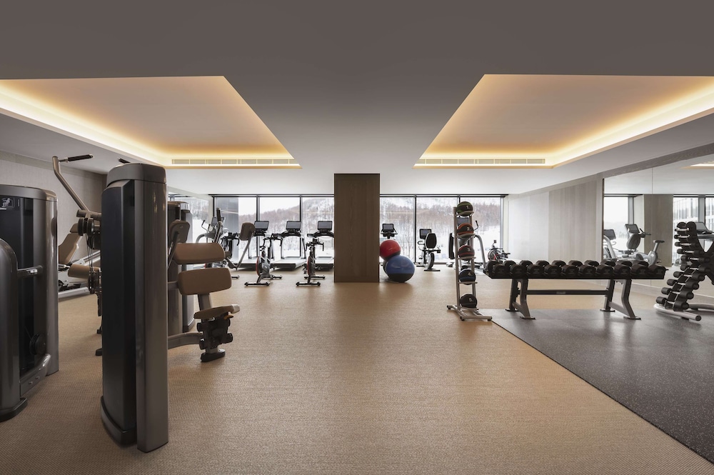 Park Hyatt Niseko Hanazono 22/49