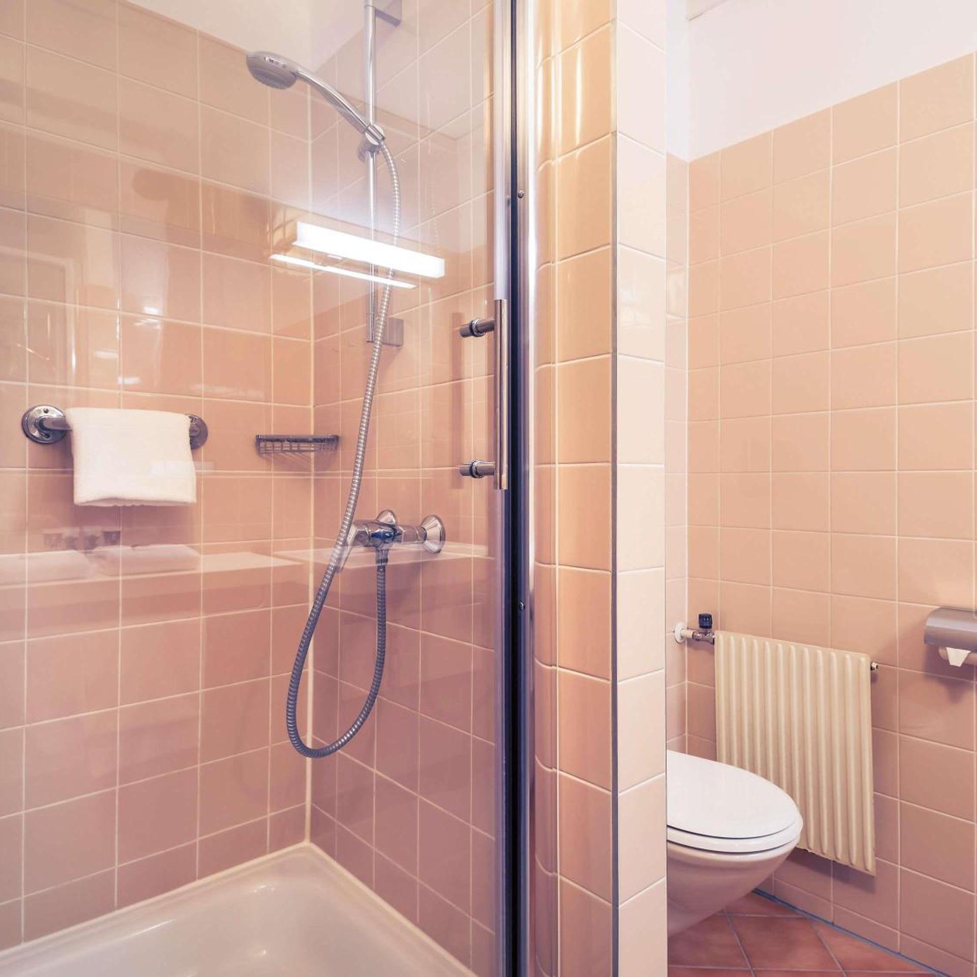 غرفة قياسية مفردة، MERCURE JELENIA GORA 4/12