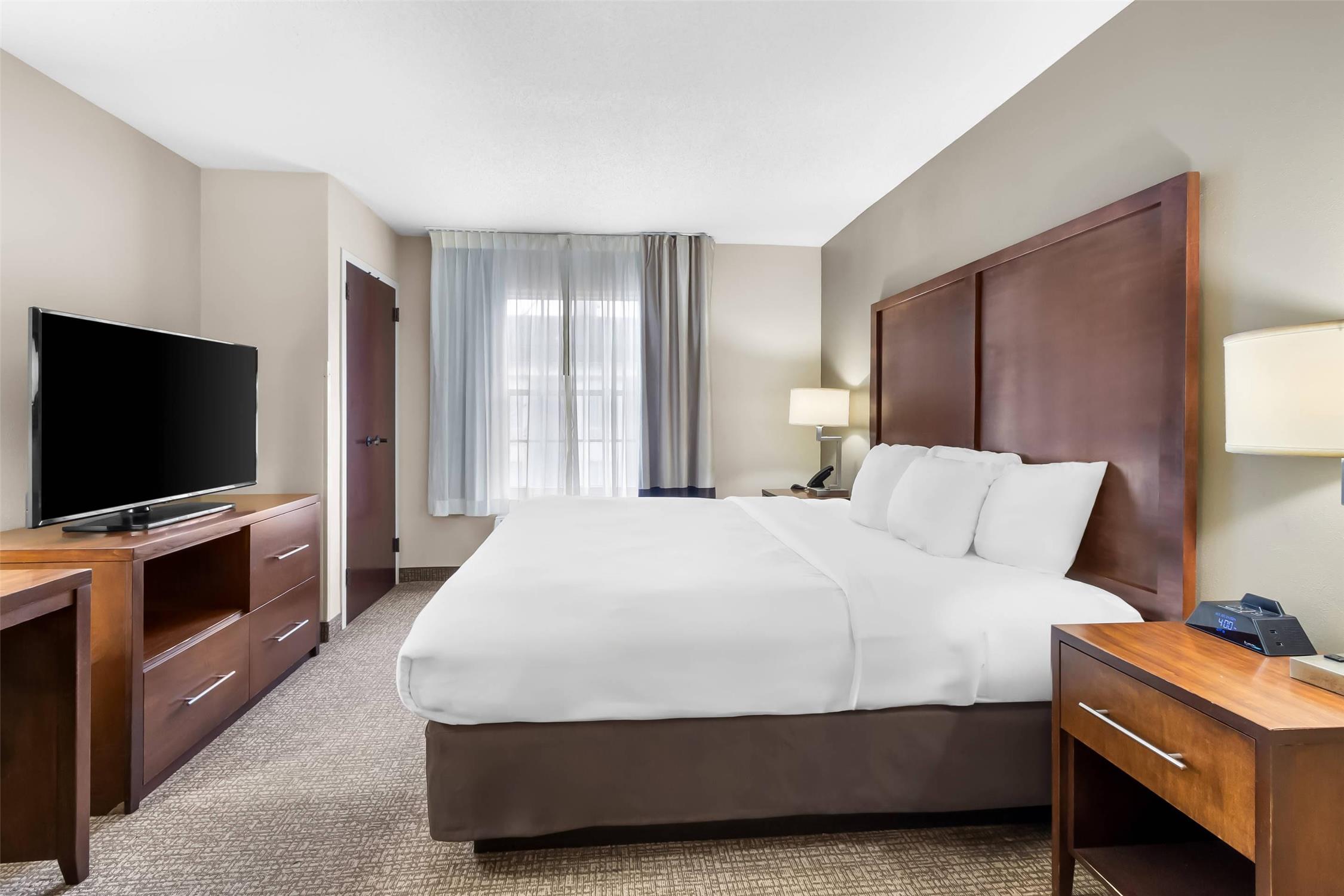 Suite, King Bed