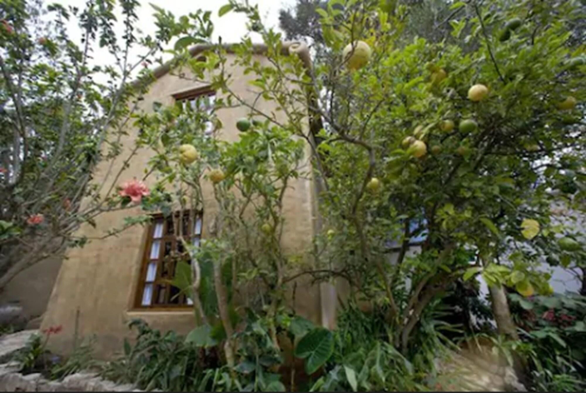 Guayaba Inn 35/47