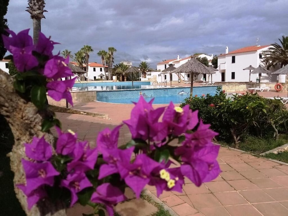 Vista Picas Apartments 21/63